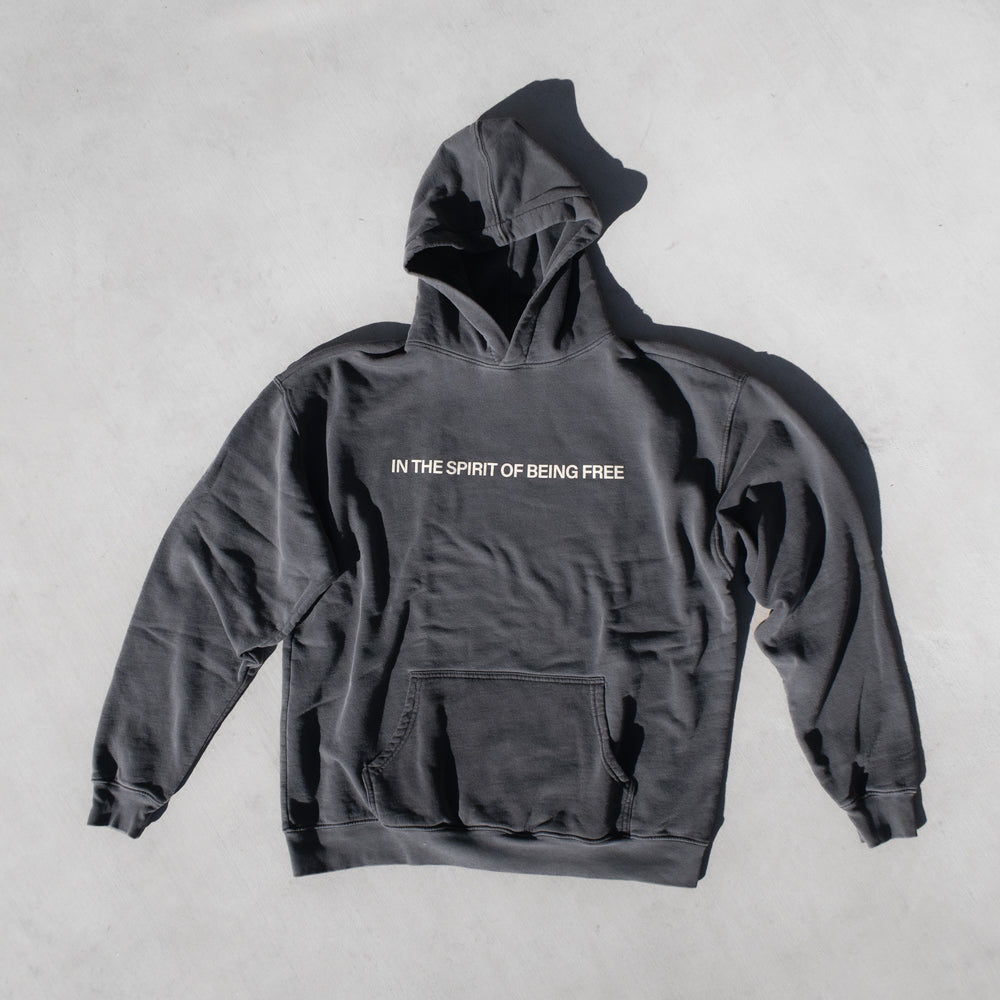 in the spirit hoodie