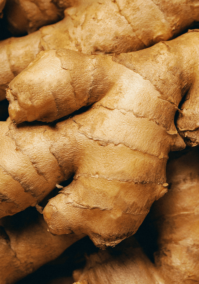 ginger